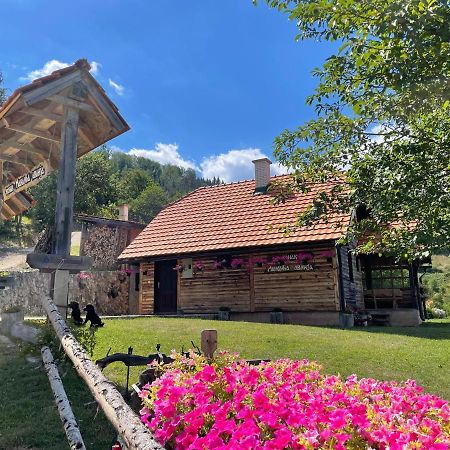 Konak Mandica Avlija Βίλα Zaovine Εξωτερικό φωτογραφία